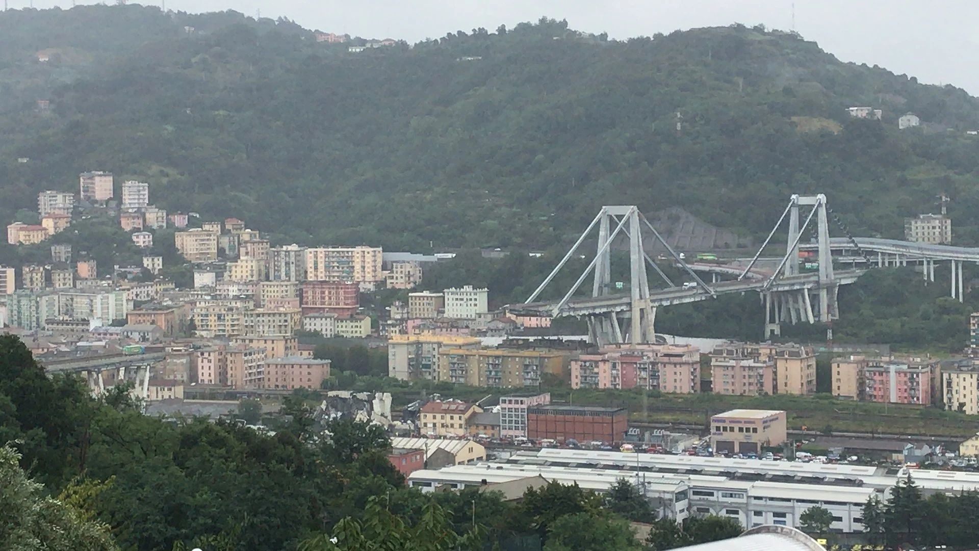 The Collapse of the Morandi Bridge